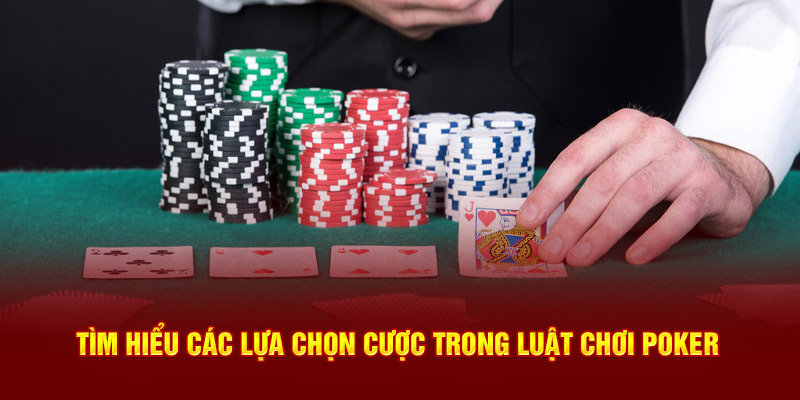 Tìm hiểu các lựa chọn cược trong luật chơi Poker